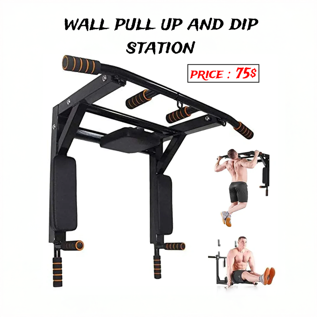 Mounted pull up and dips
